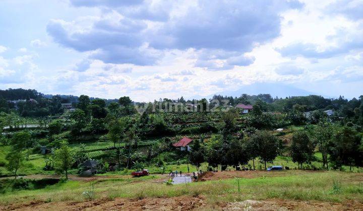 Tanah Kontur Dan Lembah Di Kawasan Puncak Bogor  1