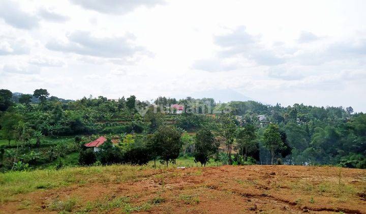 Tanah Kontur Dan Lembah Di Kawasan Puncak Bogor  2