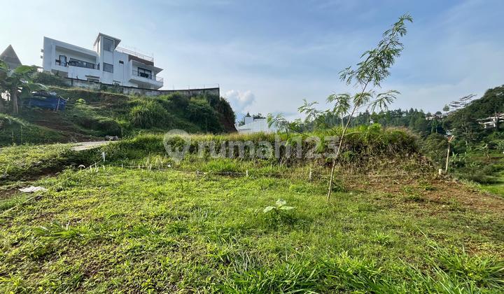 Tanah Murah Shm Di Puncak Bogor Kawasan Villa Sewa Tanah Murah Shm Di Puncak Bogor Kawasan Villa Sewa