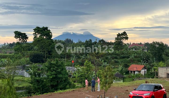 Mountain View Land in Puncak Bogor 900 Mdpl Mountain View Land in Puncak Bogor 900 Mdpl