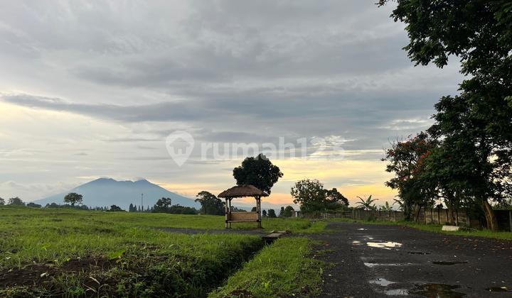 Land Near Puncak Bogor Highway with Mountain View