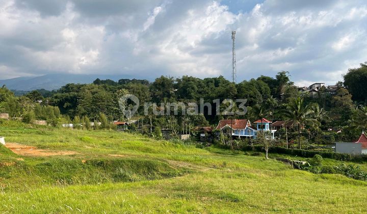 Tanah 305m2 Di Cisarua Puncak Bogor Dekat Wisata Safari Tanah 305m2 Di Cisarua Puncak Bogor Dekat Wisata Safari