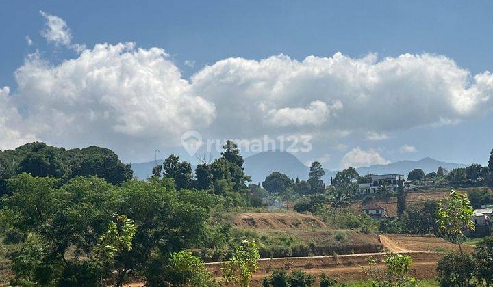 Tanah 1000 m² SHM Di Puncak Bogor Nego Pemilik 1