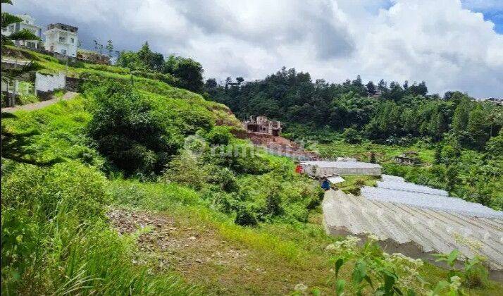 Tanah murah di megamendung puncak bogor surat SHM 1