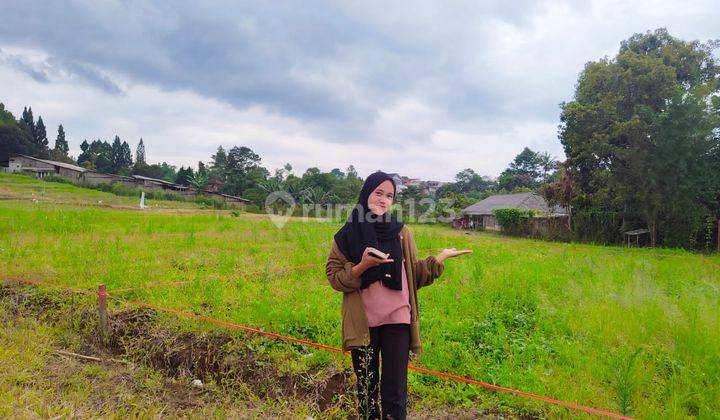 Tanah murah di megamendung puncak bogor SHM 1