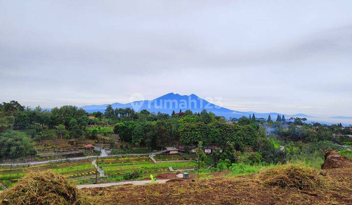 Tanah SHM di bogor samping jalan alternatif puncak  2