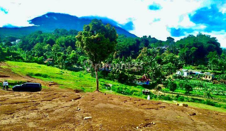 Tanah murah di bogor puncak 500m² free shm 2