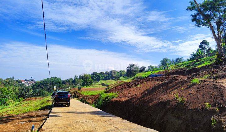 Tanah murah di puncak bogor free SHM 500m²  1