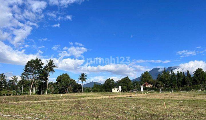 Tanah datar shm siap bangun di megamendung bogor 1