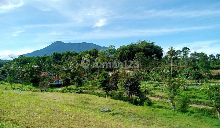 Tanah SHM murah di puncak Bogor tanah kontur unik 1