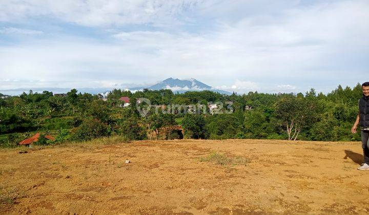 Tanah SHM murah di puncak Bogor tanah kontur unik 2