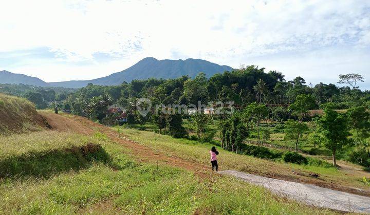 Tanah SHM murah di kawasan wisata puncak taman safari bogor 2