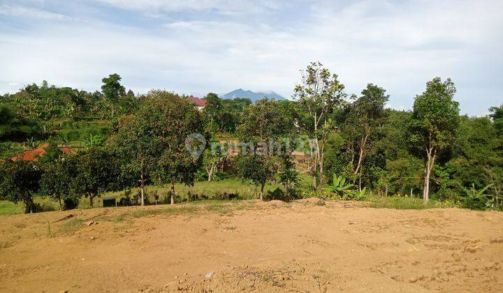 Tanah SHM murah di kawasan wisata puncak taman safari bogor 3