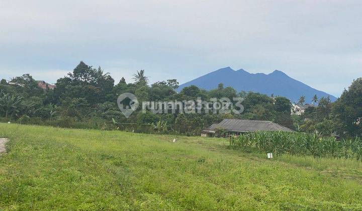 Tanah di Megamendung bogor SHM cocok untuk villa komersil 3