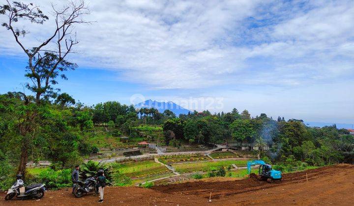 Tanah dekat wisata safari di Bogor puncak  5