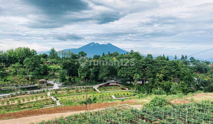 Tanah 3000m² SHM di Megamendung puncak bogor 1