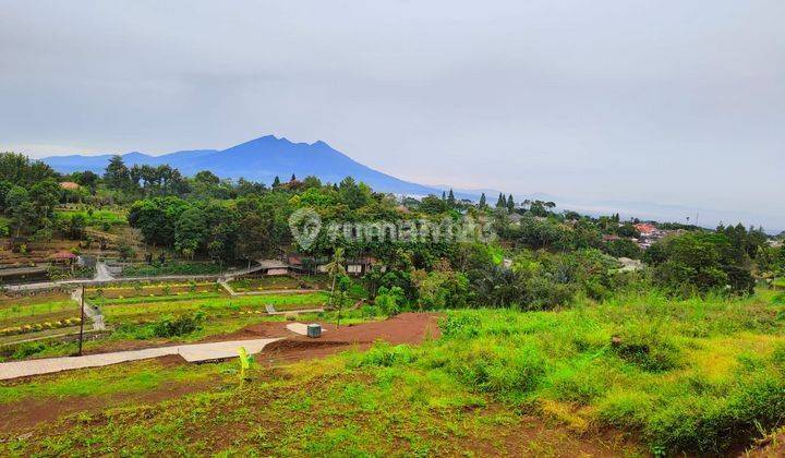 Tanah pinggir jalan alternatif taman safari di Bogor megamendung  1