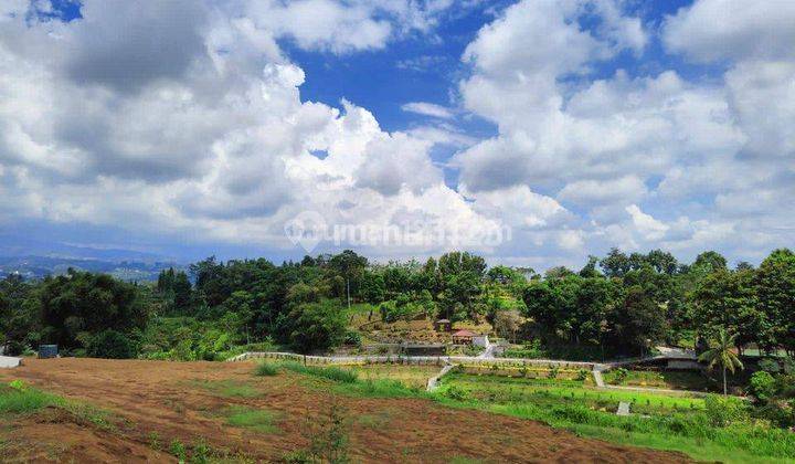 Tanah pinggir jalan alternatif taman safari di Bogor megamendung  2