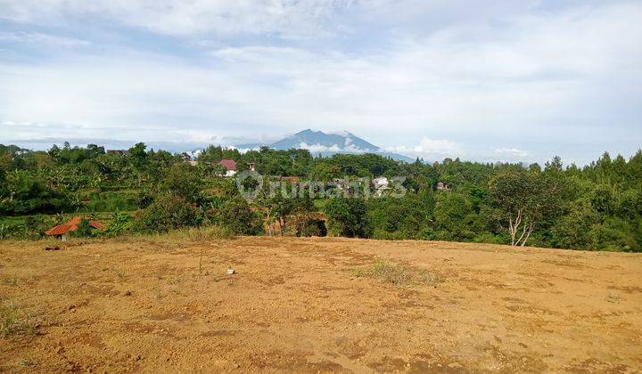 Tanah di jual 500m² cocok untuk villa di puncak bogor 2