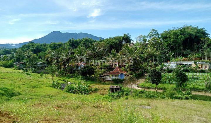 Tanah hak milik cocok untuk villa di puncak bogor 2