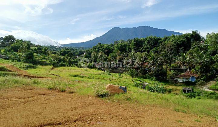 Tanah hak milik cocok untuk villa di puncak bogor 1