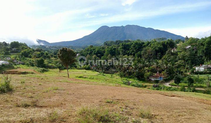 Tanah milik cocok untuk villa atau rumah di Cisarua puncak bogor 1