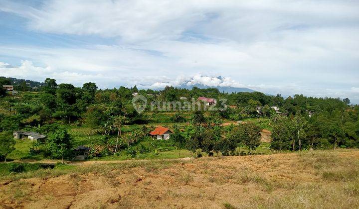 Tanah milik cocok untuk villa atau rumah di Cisarua puncak bogor 2