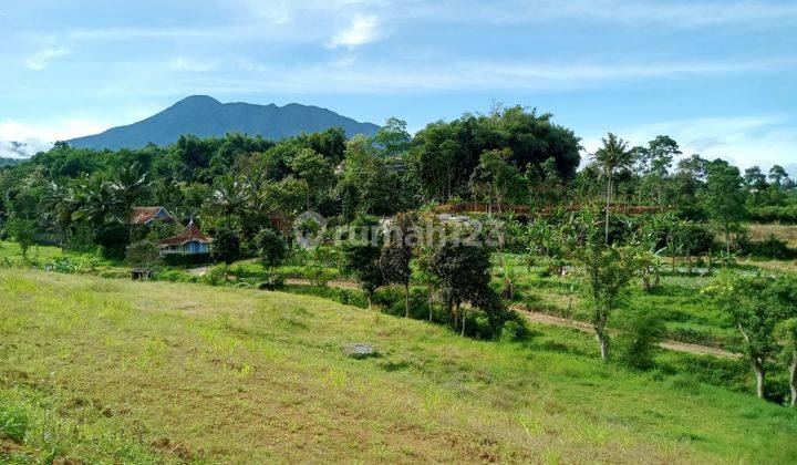 Tanah murah di Cisarua puncak Bogor siap bangun 2