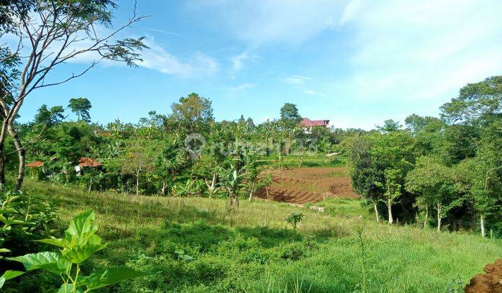 Tanah di jual 360m² SHM di Cisarua Bogor dekat wisata safari 2