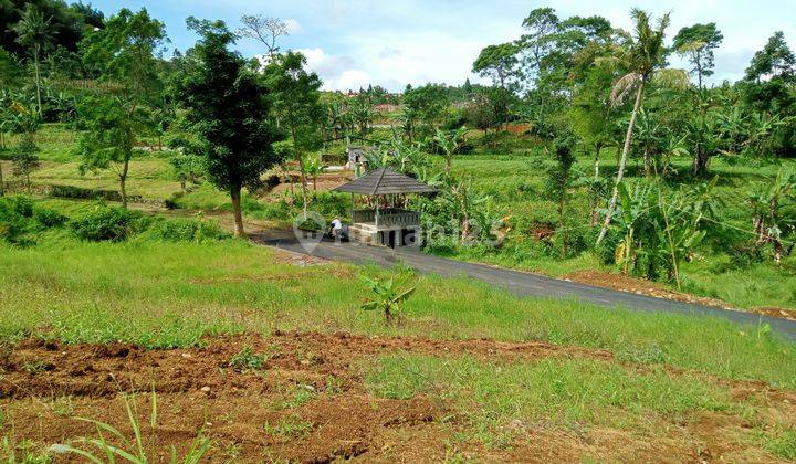 Tanah strategis di Cisarua kawasan wisata puncak bogor 1