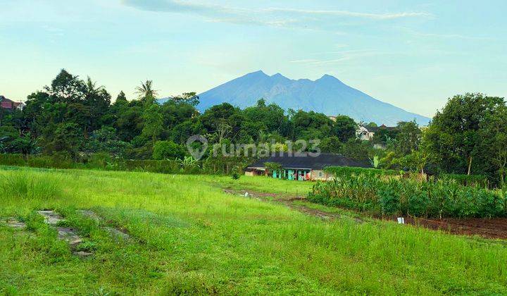 Tanah SHM dekat vimalla hills Megamendung bogor 1