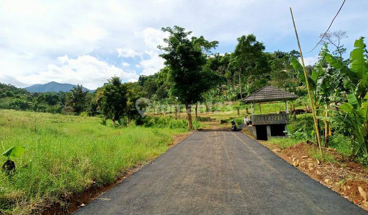 Tanah murah di Bogor Cisarua puncak cocok untuk villa 2