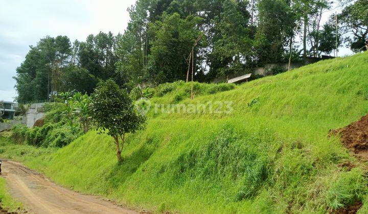 Tanah jual cepat di Megamendung puncak Bogor  2