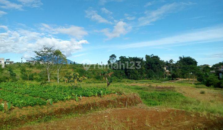 Tanah murah di Bogor Megamendung dekat wisata puncak 2