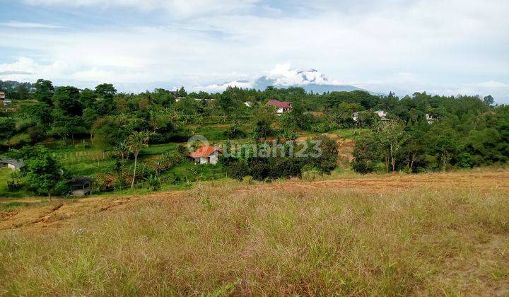 Tanah di Jalan alternatif cisarua puncak Bogor  2