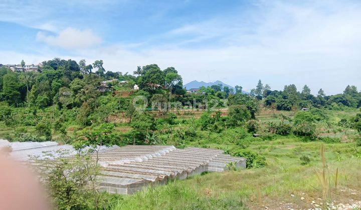 Tanah murah 1000m² di jual cepat di megamendung puncak bogor  2