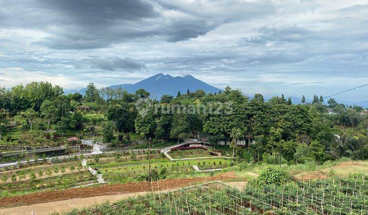 Tanah SHM Megamendung Puncak Bogor Cocok Untuk Villa 1