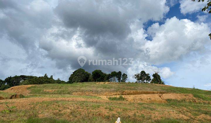 Tanah puncak Bogor luas 3000m² cocok untuk villa view alam 2