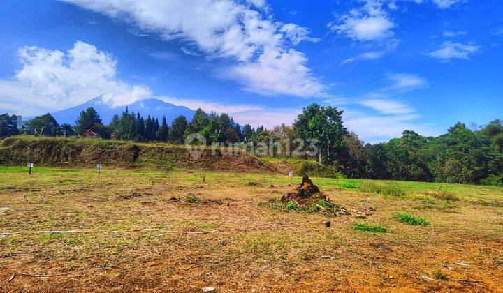 Tanah murah di megamendung Bogor puncak luas 200m² 2