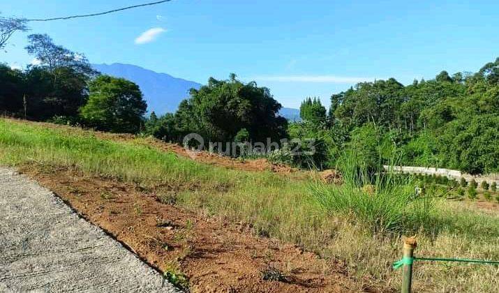 Tanah Kontur View Taman Di Puncak Bogor Cocok Untuk Villa 2