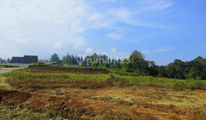 Tanah Datar siap bangun di megamendung puncak bogor 2