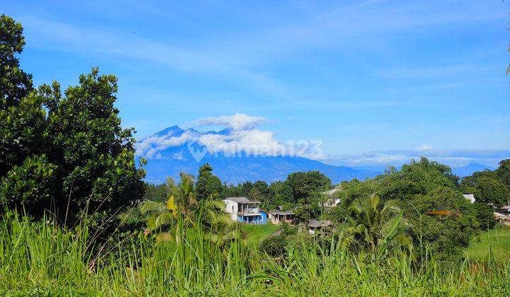 Tanah Sertifikat Hak Milik Luas 2000 m² Jl. Cisarua Puncak 2