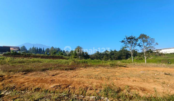 Tanah Datar Siap Bangun di Megamendung Puncak bogor Shm 2