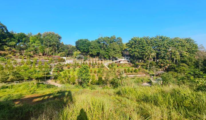 Tanah 3000m² SHM dekat taman Safari puncak bogor 2