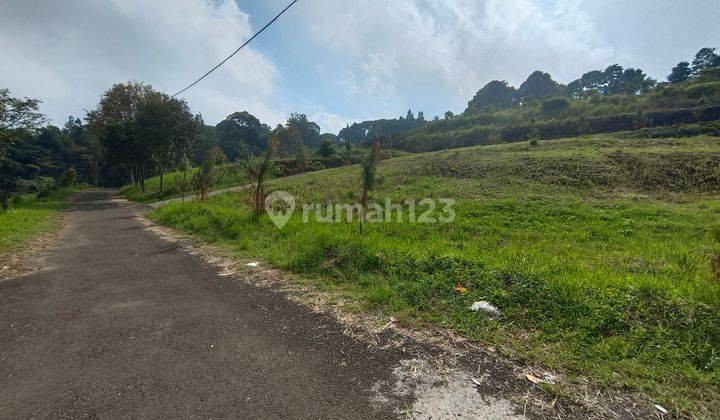 Tanah Murah di Puncak Bogor Cocok Untuk Villa ada Aliran Sungai 2