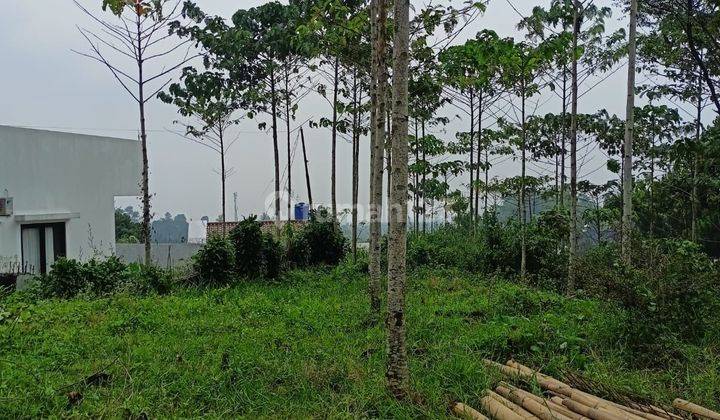 Tanah Murah di Puncak Bogor Megamendung SHM 2