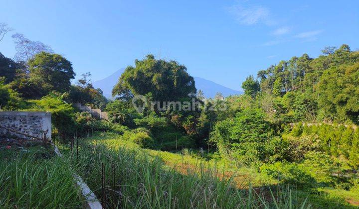 Tanah di megamendung puncak bogor dekat jalan alternatif  2