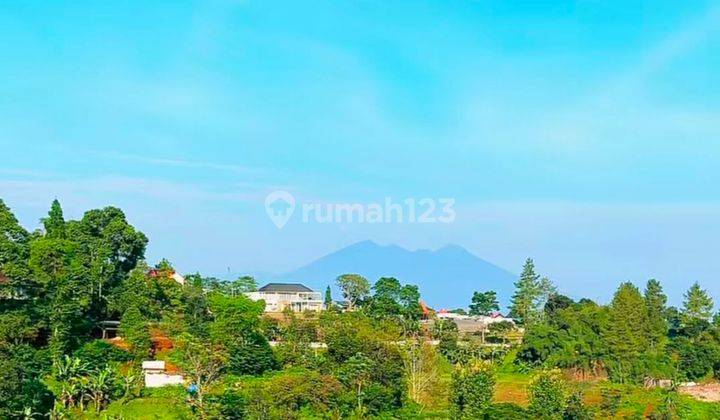 Tanah Murah 1000m² di kawasan wisata puncak bogor 2