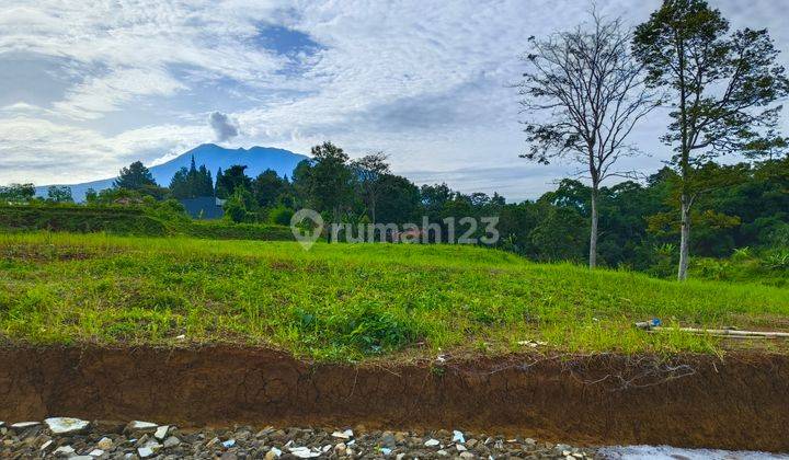 Tanah murah SHM di Bogor Megamendung puncak  2