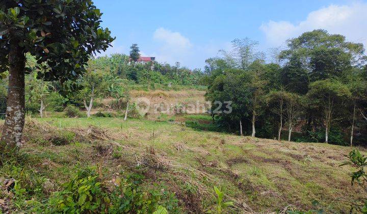 Tanah dijual dekat kawasan wisata safari Cisarua puncak bogor 2